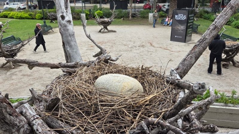Nidos: La exposición que rescata el valor de la naturaleza en medio del paisaje urbano